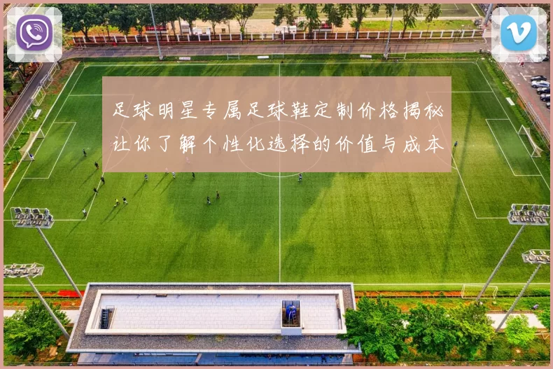 足球明星专属足球鞋定制价格揭秘让你了解个性化选择的价值与成本