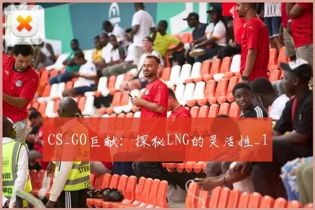 CS_GO巨献：探秘LNG的灵活性_1
