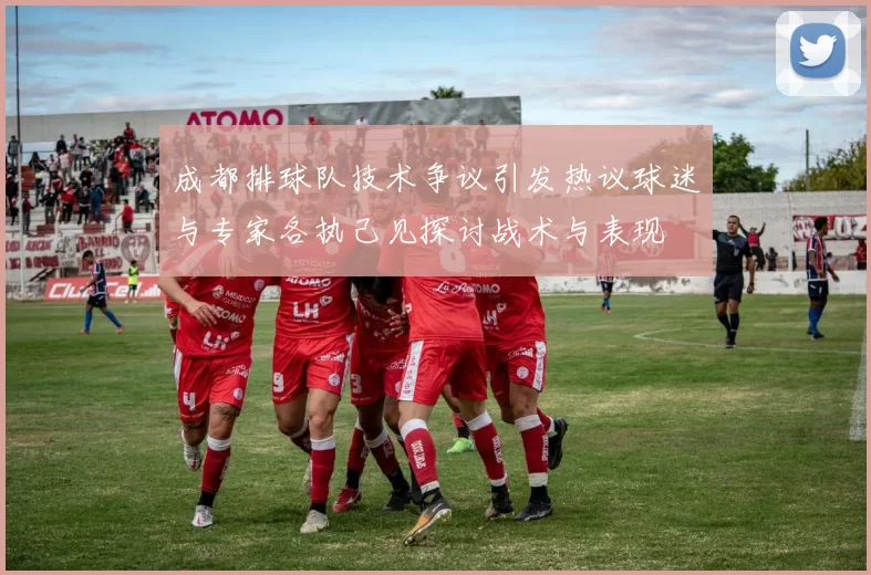 成都排球队技术争议引发热议球迷与专家各执己见探讨战术与表现