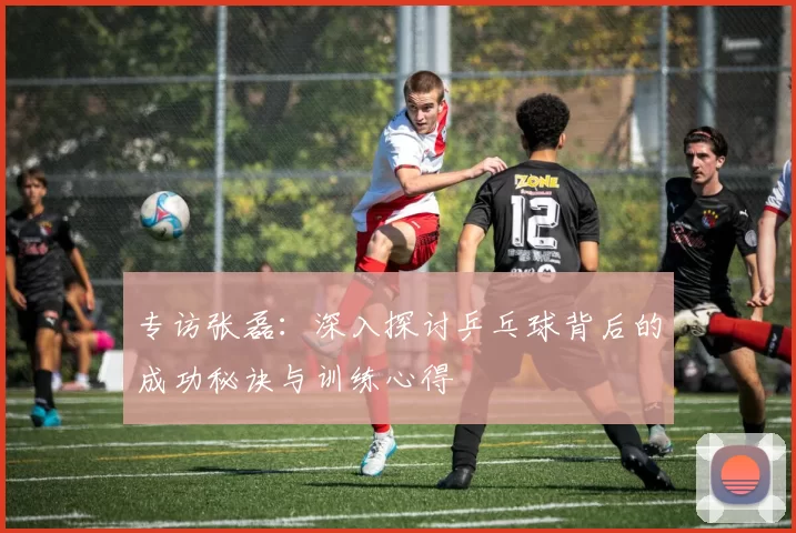 专访张磊：深入探讨乒乓球背后的成功秘诀与训练心得
