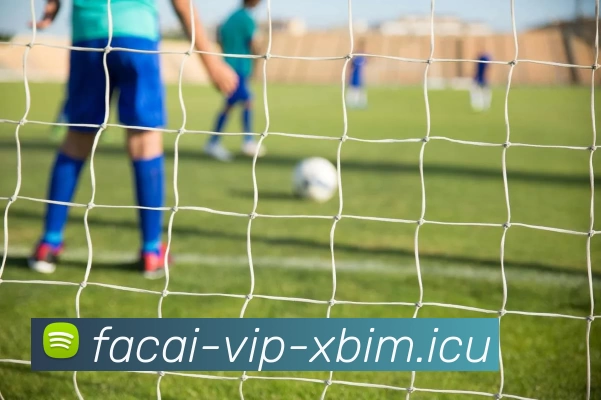 MK体育品牌故事