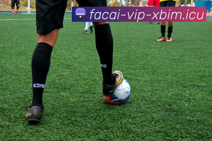 MK体育APP 体育赛事宣传图